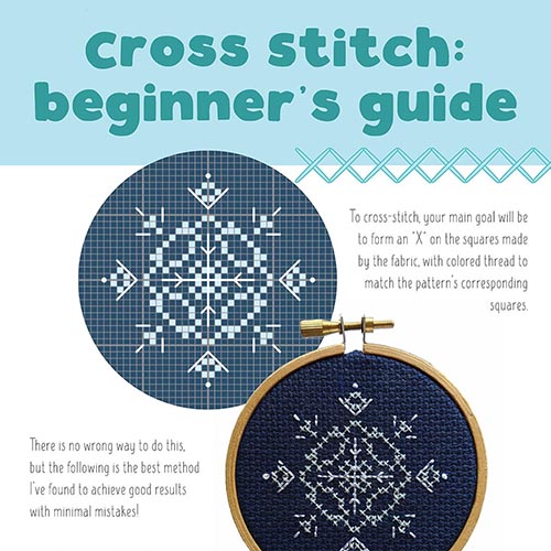 Beginner's Guide